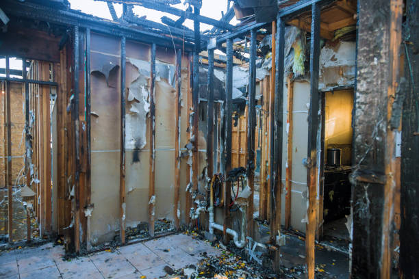 Professional Fire Damage Removal technician working in Social Circle, GA